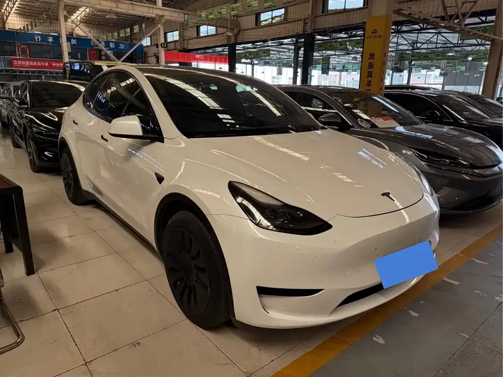 Tesla Model Y — фото 8