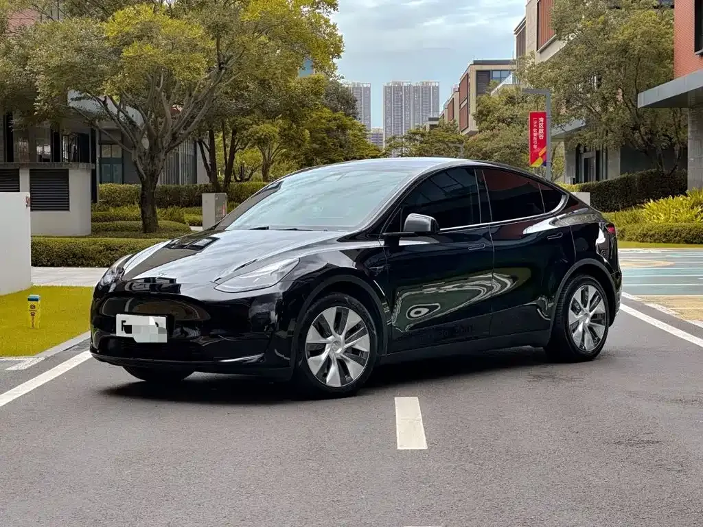 Tesla Model Y — фото 10