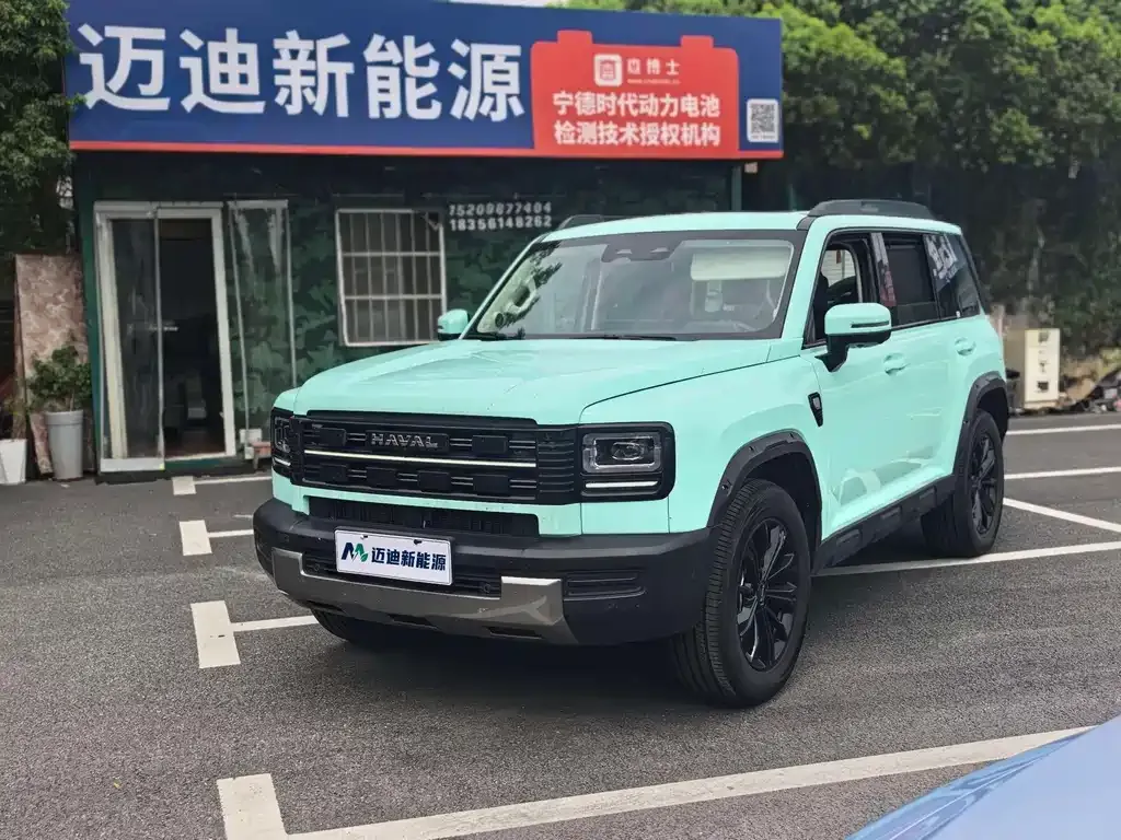 Haval Menglong New Energy — фото 1