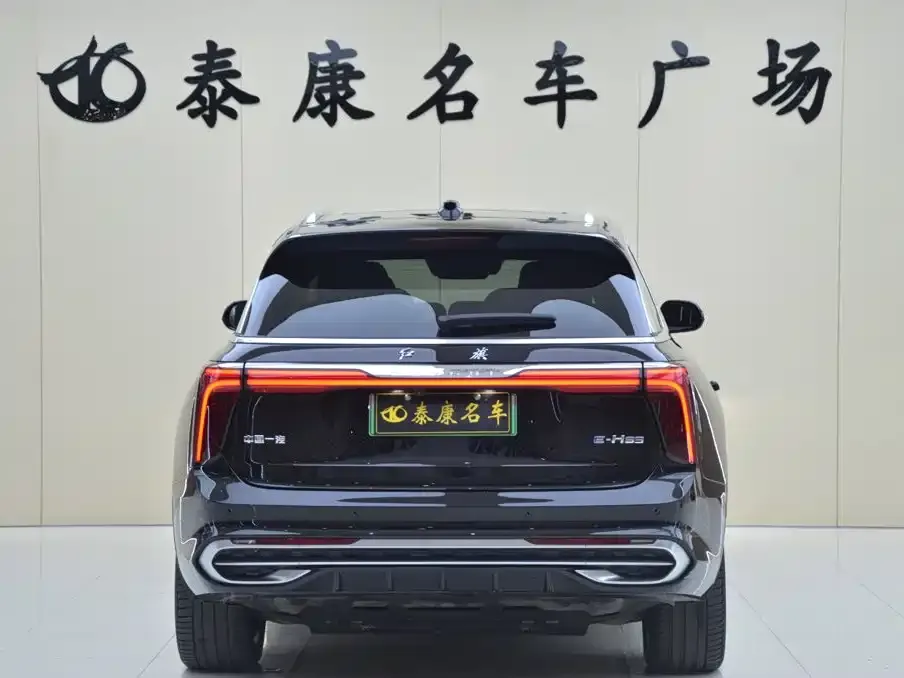 Hongqi E-HS9 — фото 3