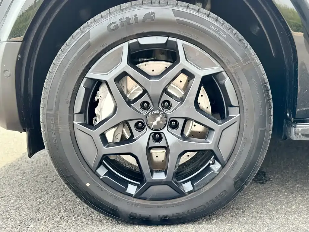 Fang Cheng Bao Ti 7 — фото 8