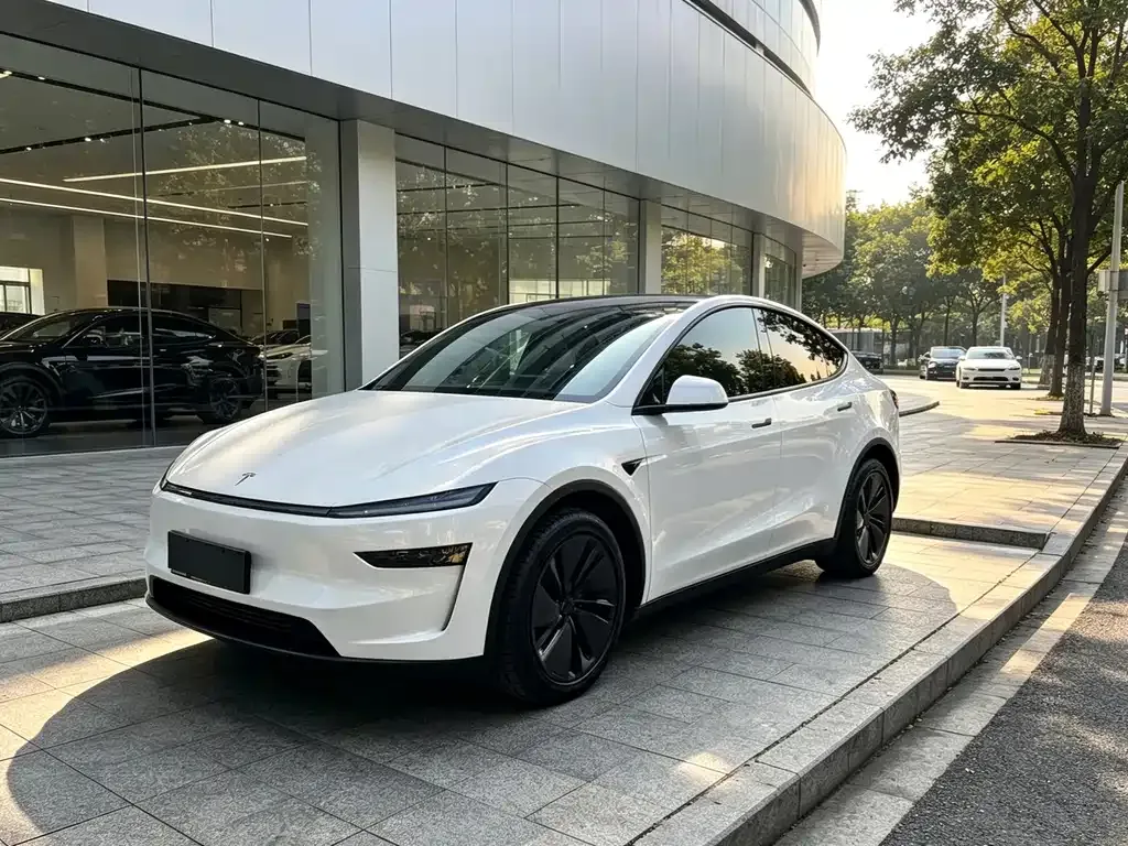 Tesla Model Y — фото 1