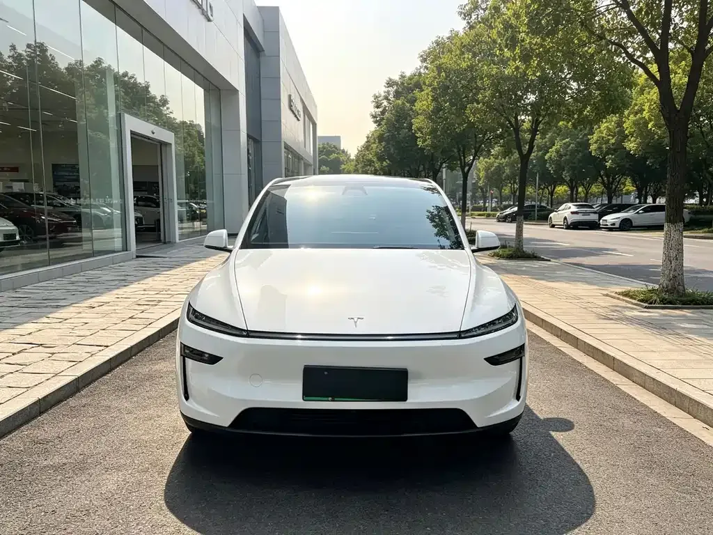 Tesla Model Y — фото 7