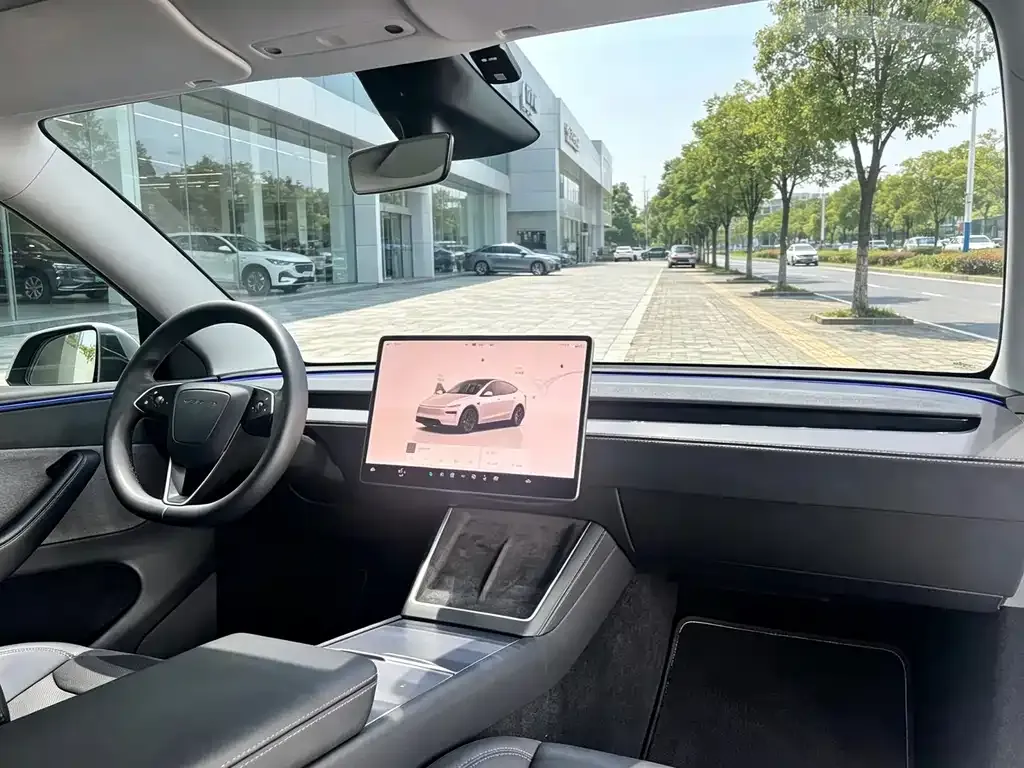 Tesla Model Y — фото 8