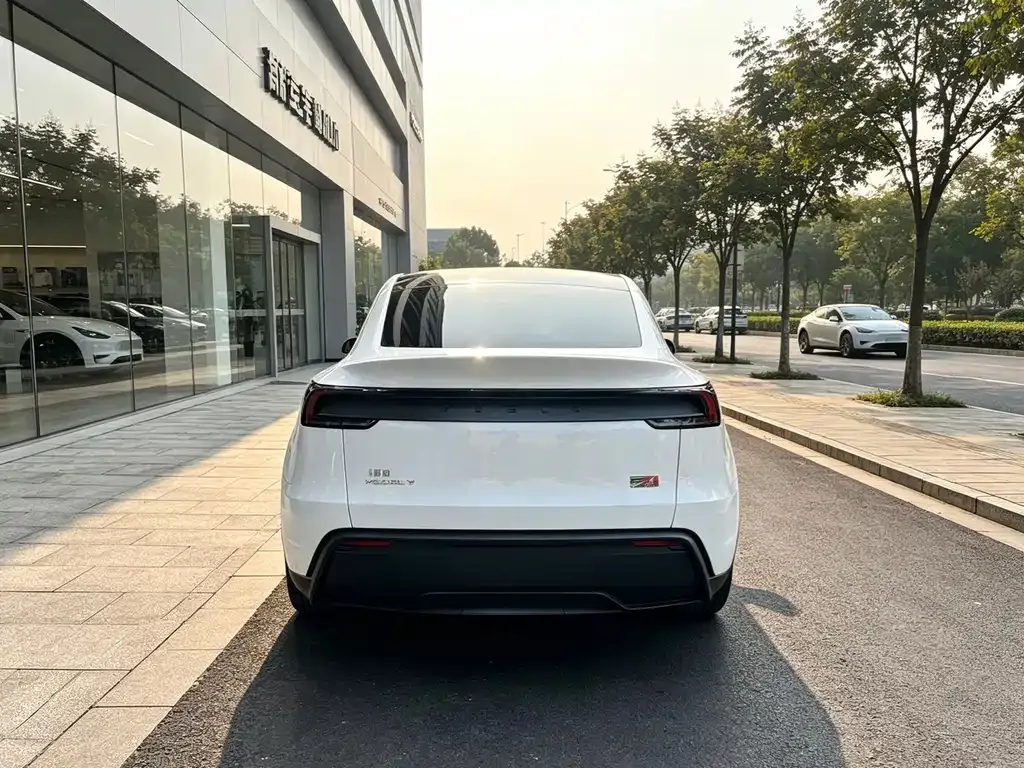 Tesla Model Y — фото 5