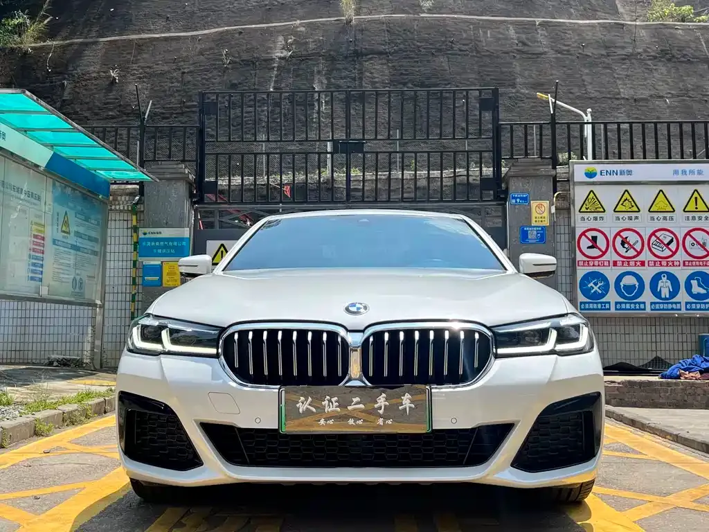 BMW 5 Series New Energy — фото 4