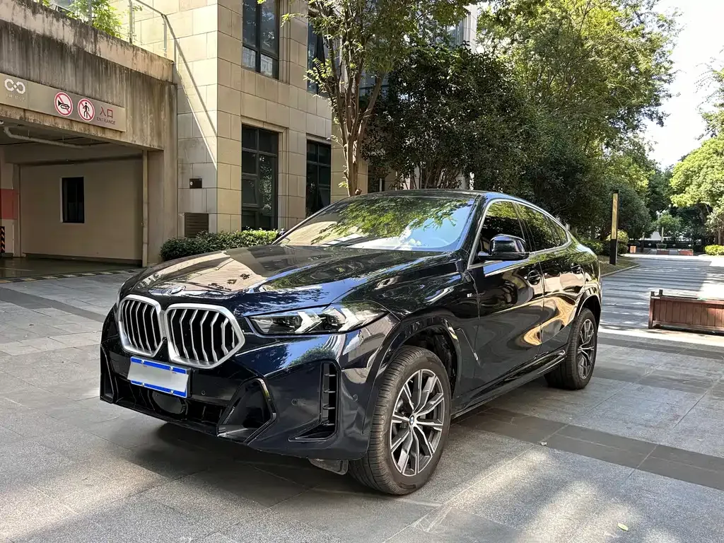 BMW X6 — фото 1