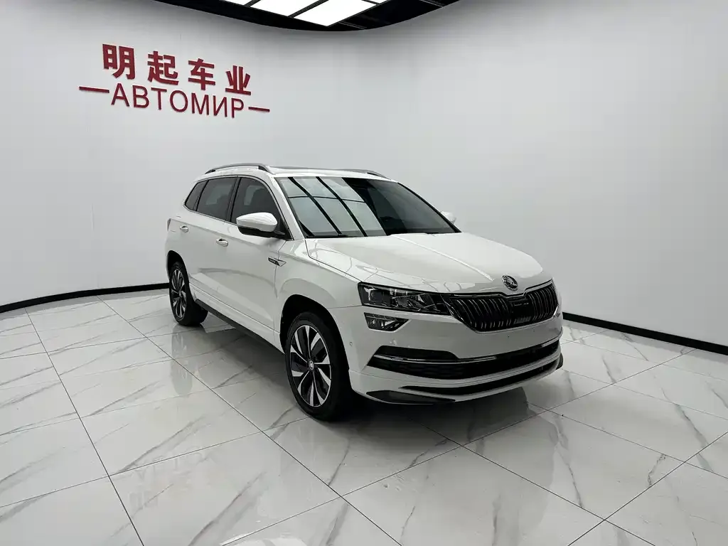 Skoda Karoq — фото 10