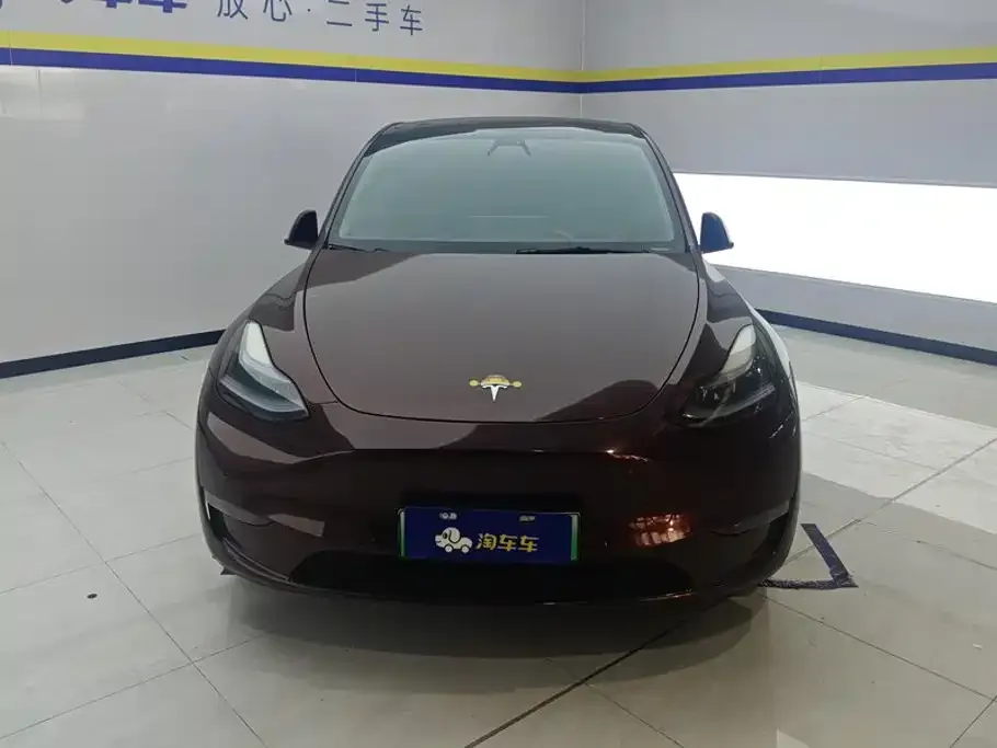 Tesla Model Y — фото 10