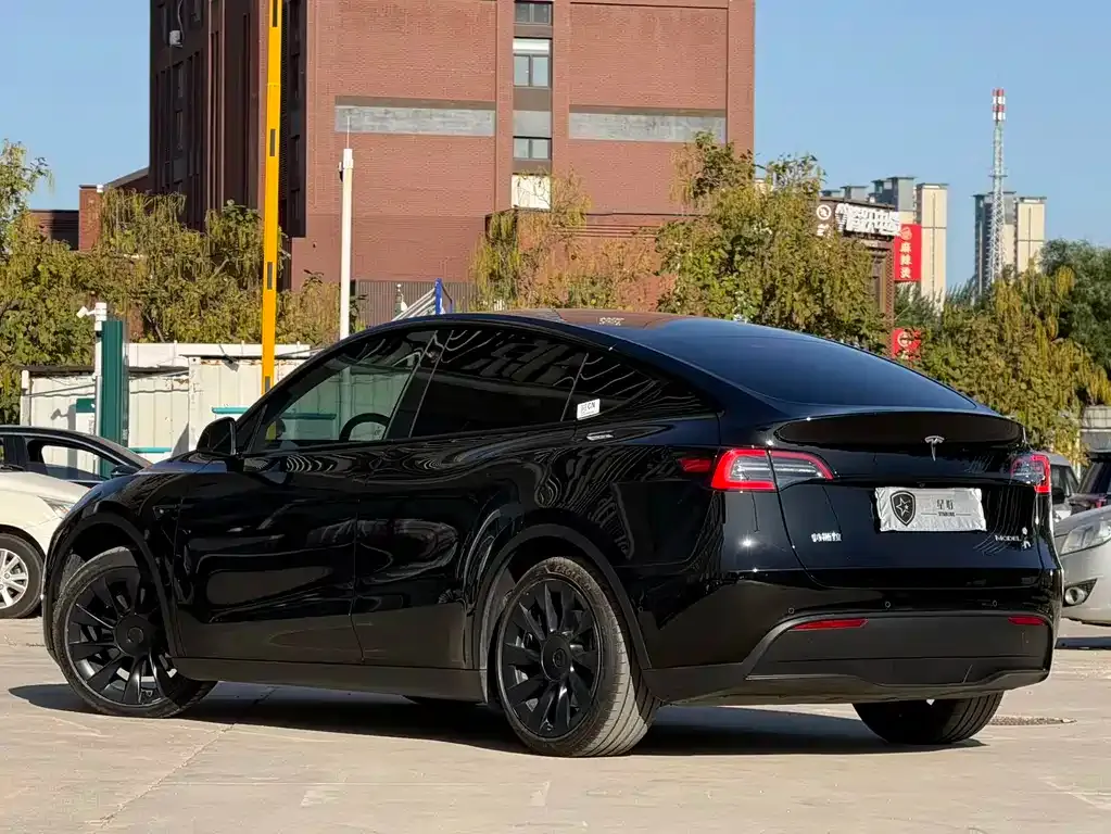 Tesla Model Y — фото 4