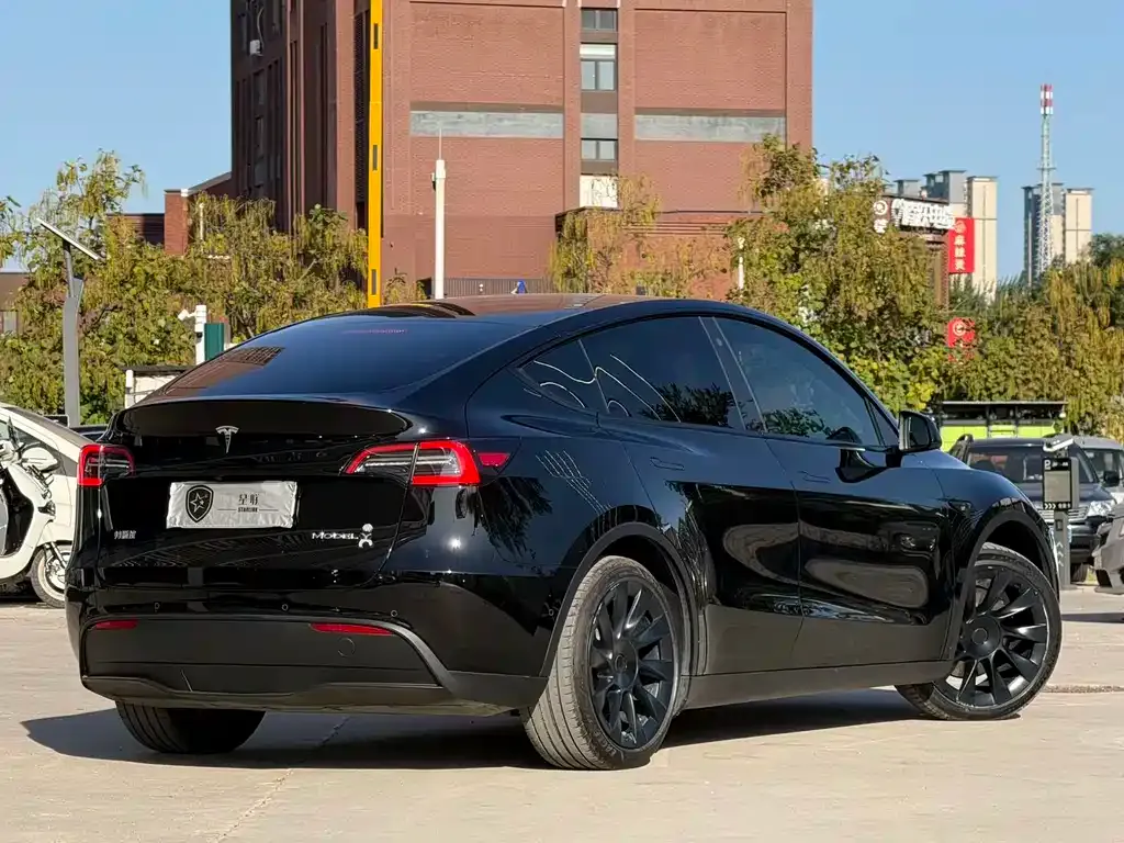 Tesla Model Y — фото 10