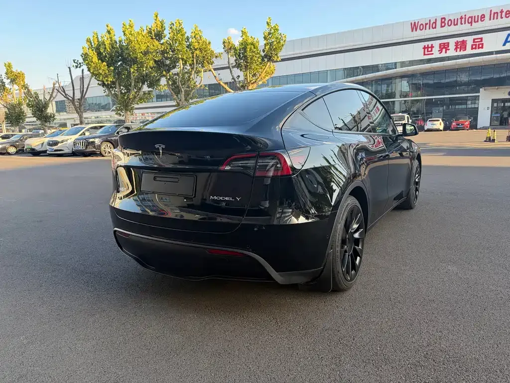 Tesla Model Y — фото 7
