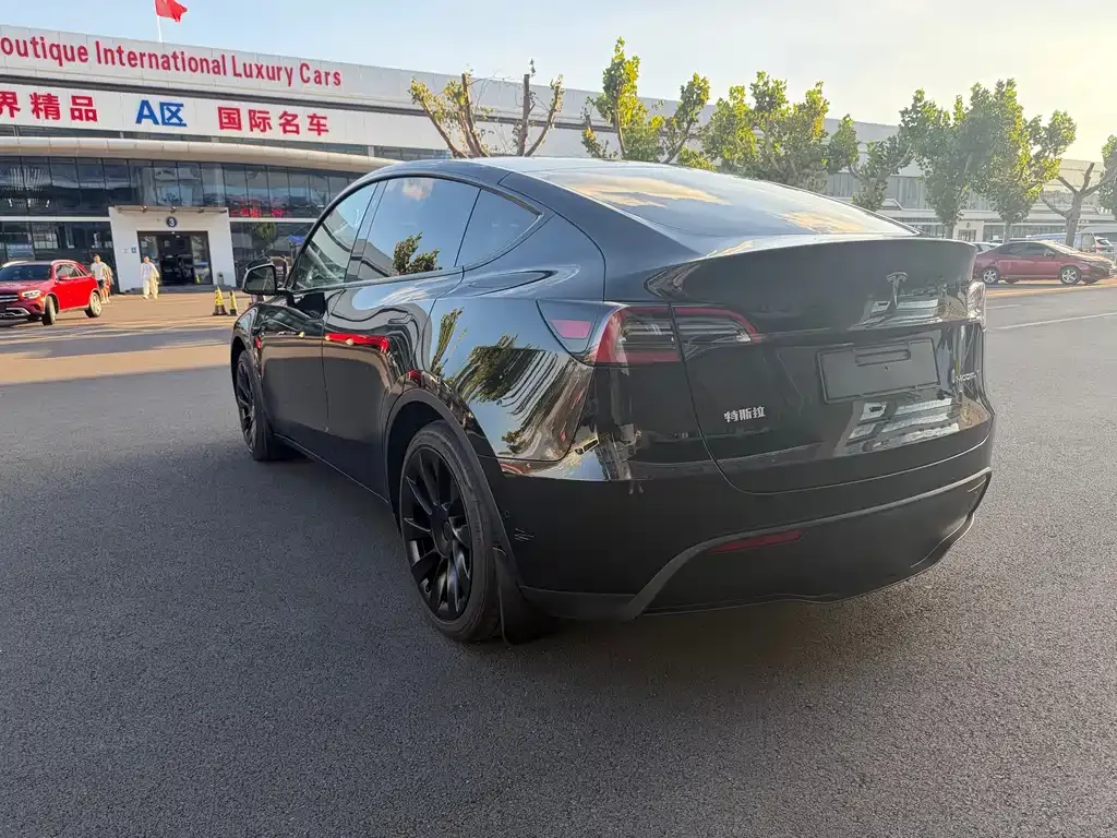 Tesla Model Y — фото 6