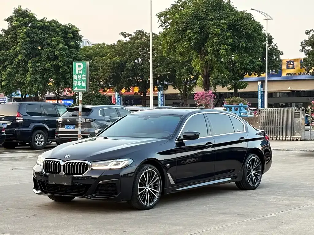 BMW 5 Series 530Li xDrive M Sport 1