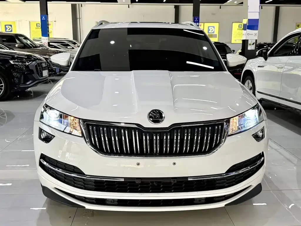 Skoda Karoq — фото 8