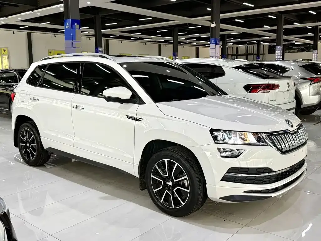 Skoda Karoq — фото 9