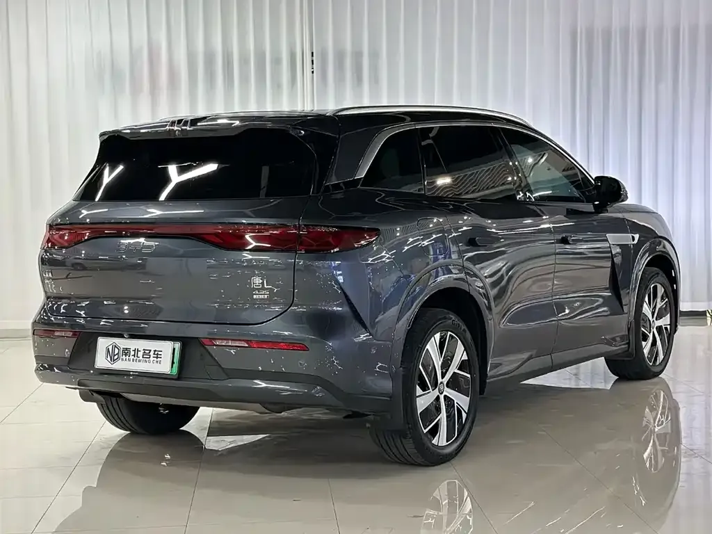 BYD Tang L — фото 6