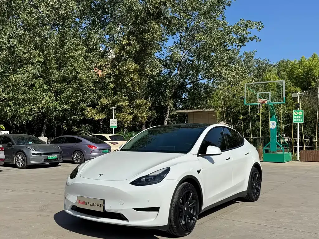 Tesla Model Y — фото 1