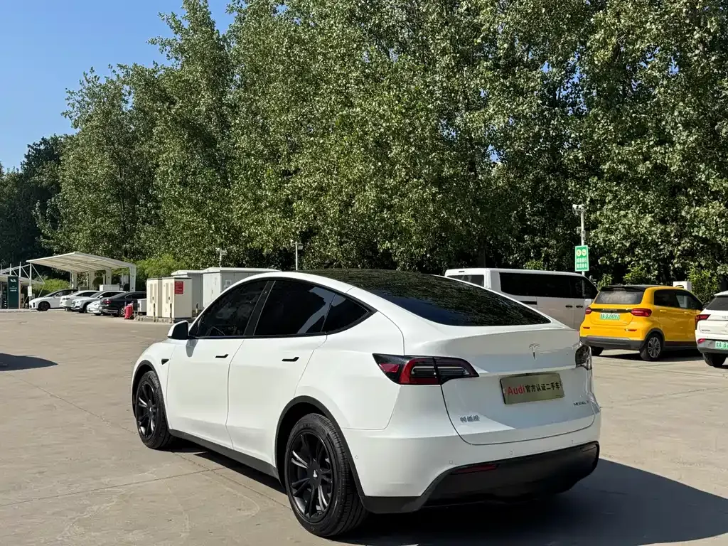 Tesla Model Y — фото 8