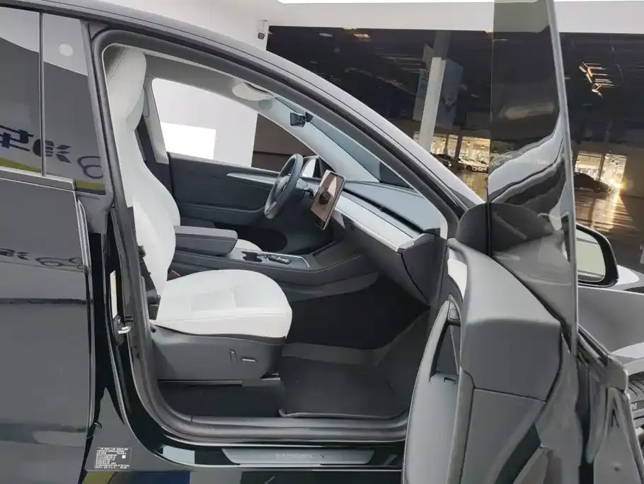 Tesla Model Y — фото 8
