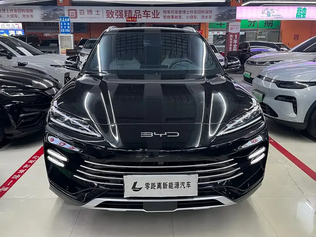BYD PLUS New Energy — фото 2