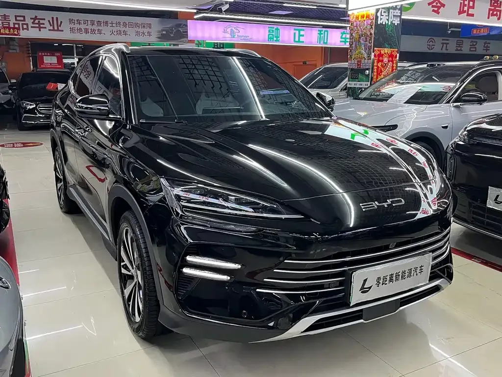 BYD PLUS New Energy — фото 10