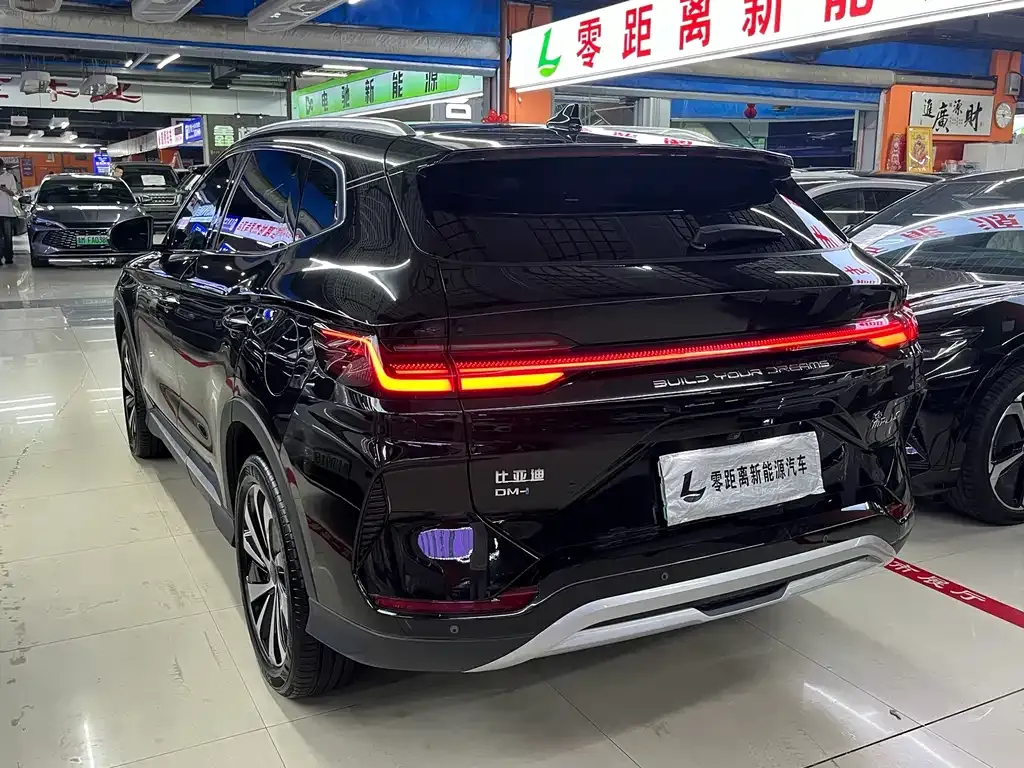 BYD PLUS New Energy — фото 4