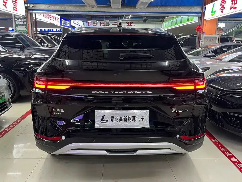 BYD PLUS New Energy — фото 5