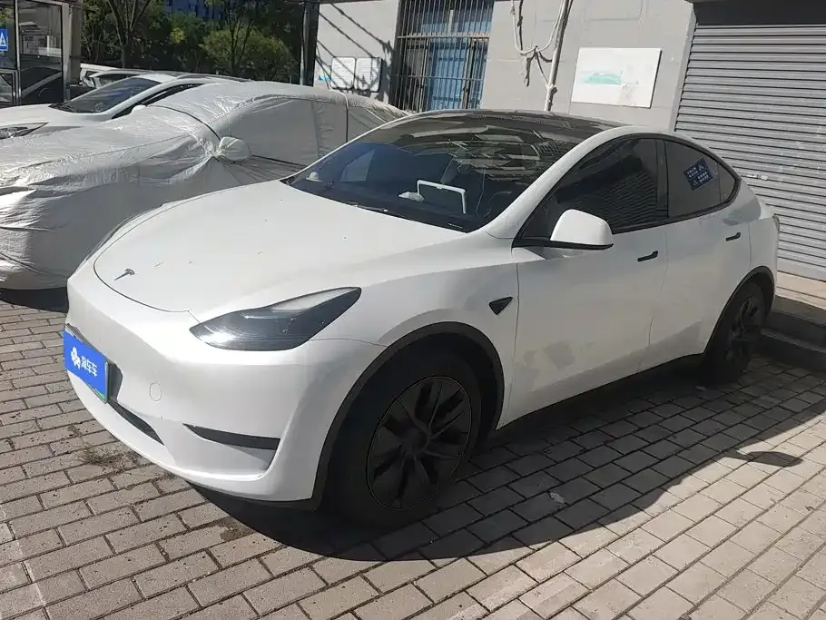 Tesla Model Y — фото 1