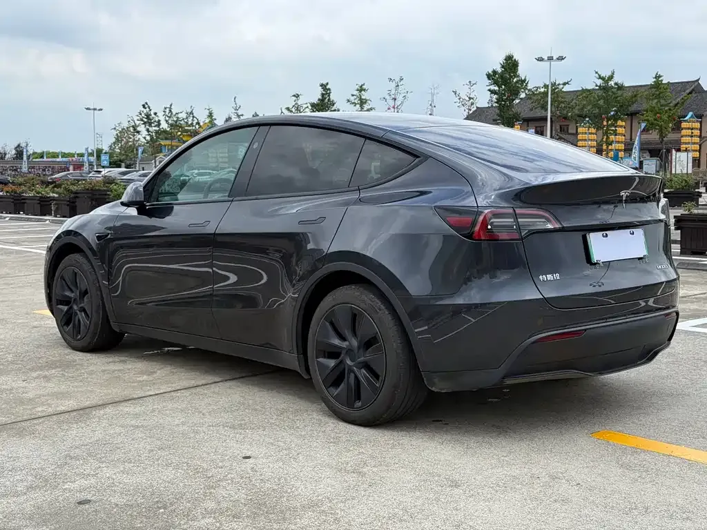 Tesla Model Y — фото 3