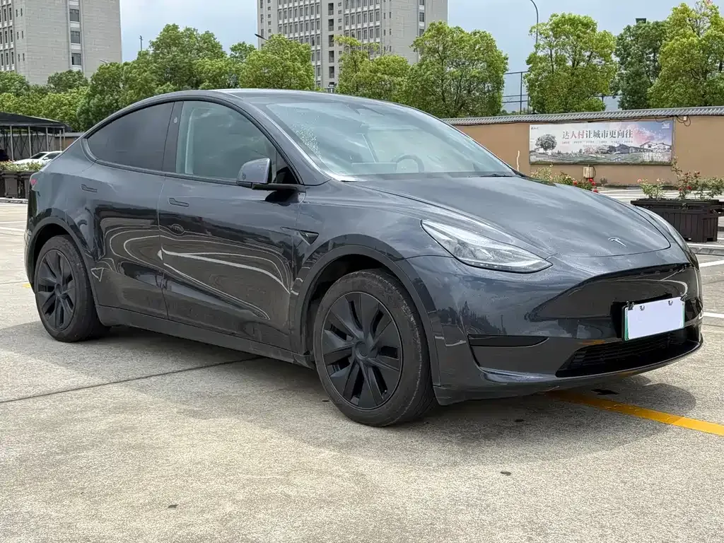 Tesla Model Y — фото 9