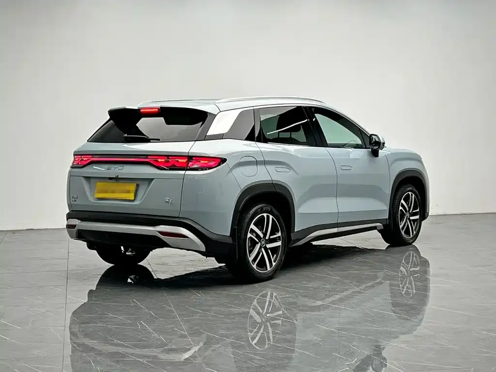BYD L DM-i — фото 6