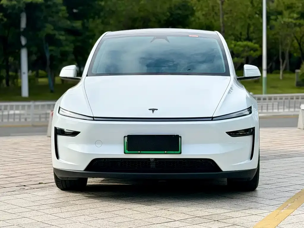 Tesla Model Y — фото 10