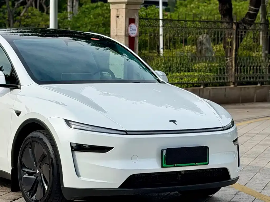 Tesla Model Y — фото 2