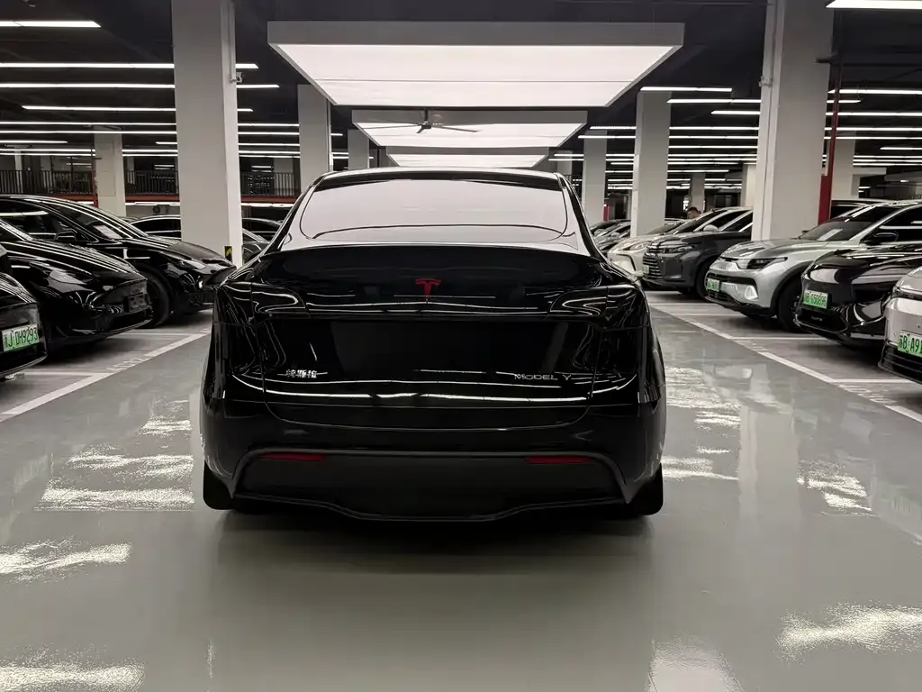 Tesla Model Y — фото 2