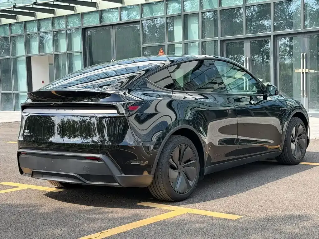 Tesla Model Y — фото 10