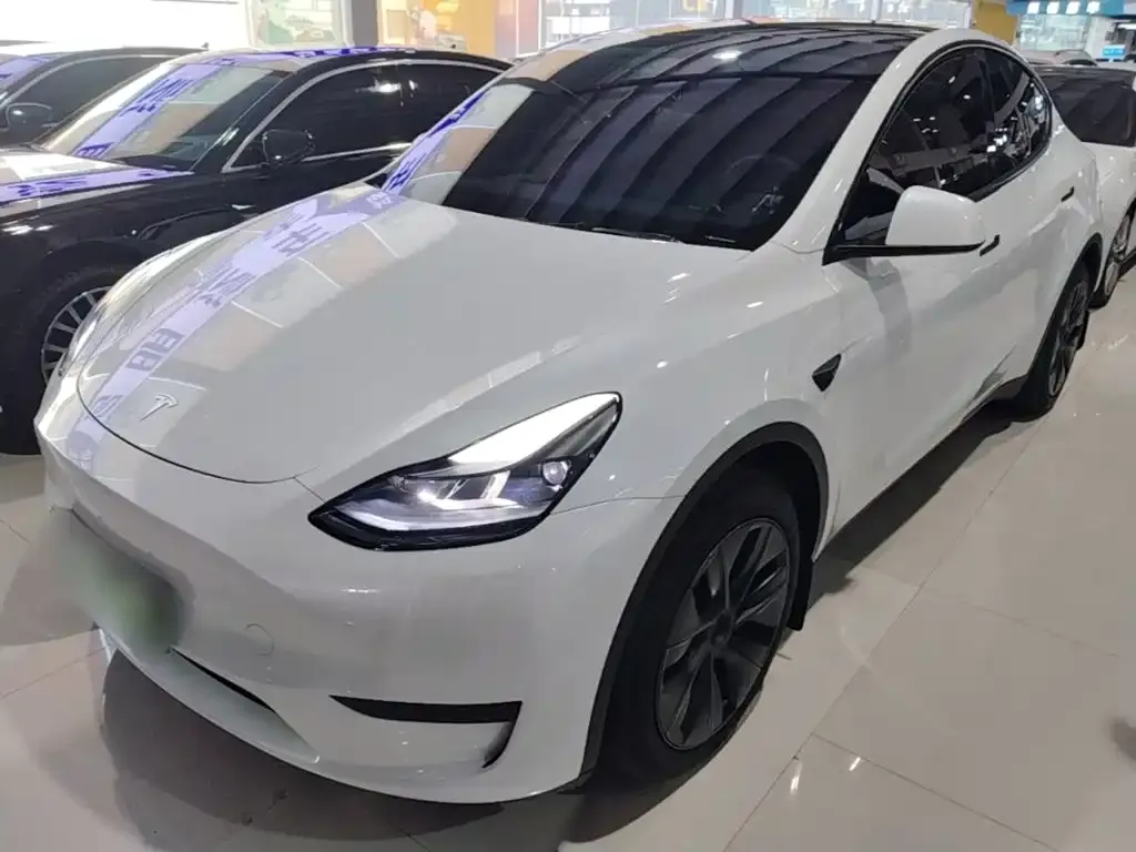 Tesla Model Y — фото 6