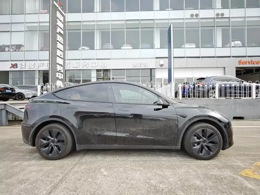 Tesla Model Y — фото 2