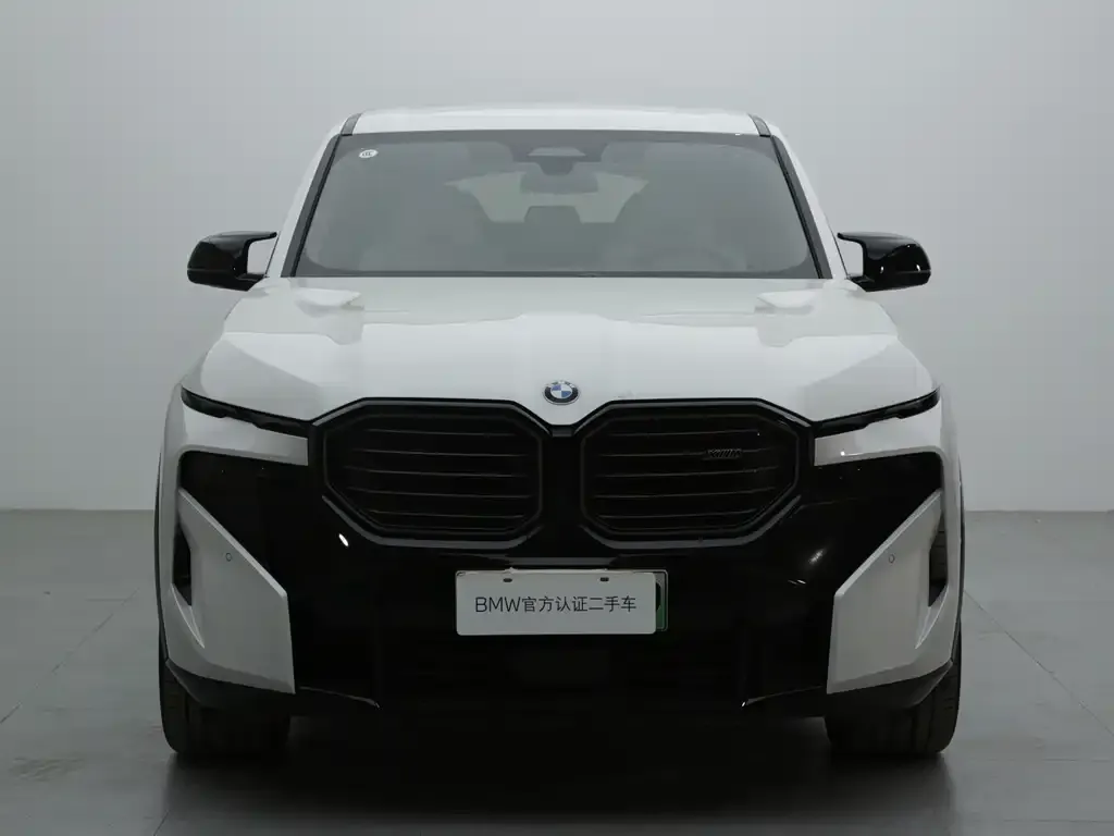 BMW XM — фото 10