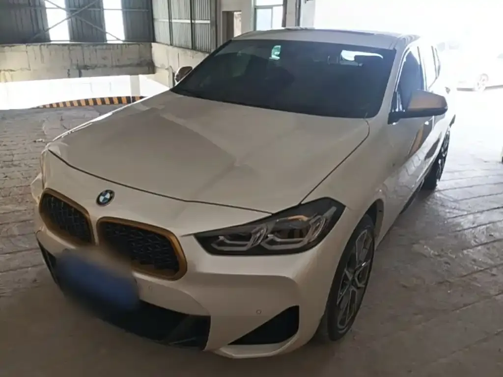 BMW X2 — фото 1