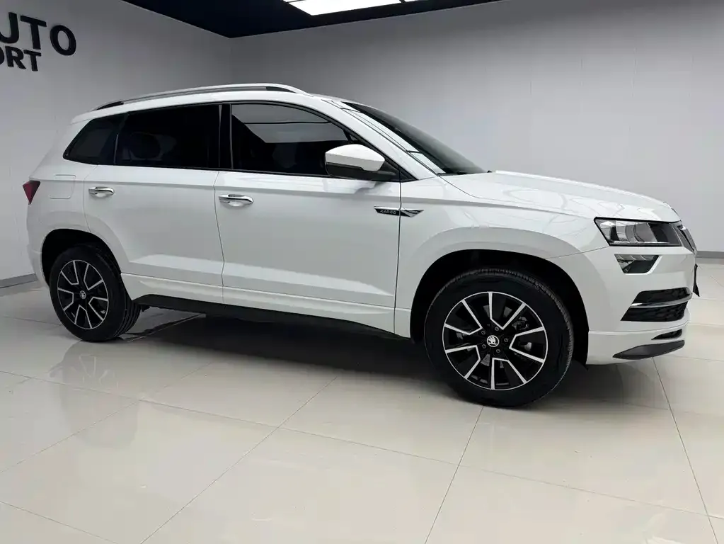 Skoda Karoq — фото 9