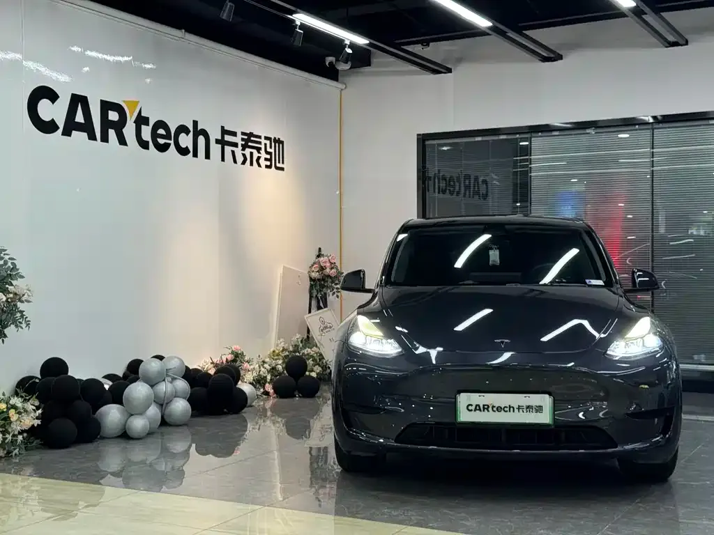 Tesla Model Y — фото 2