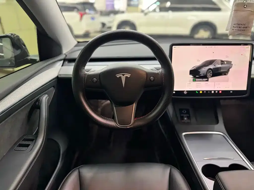 Tesla Model Y — фото 9