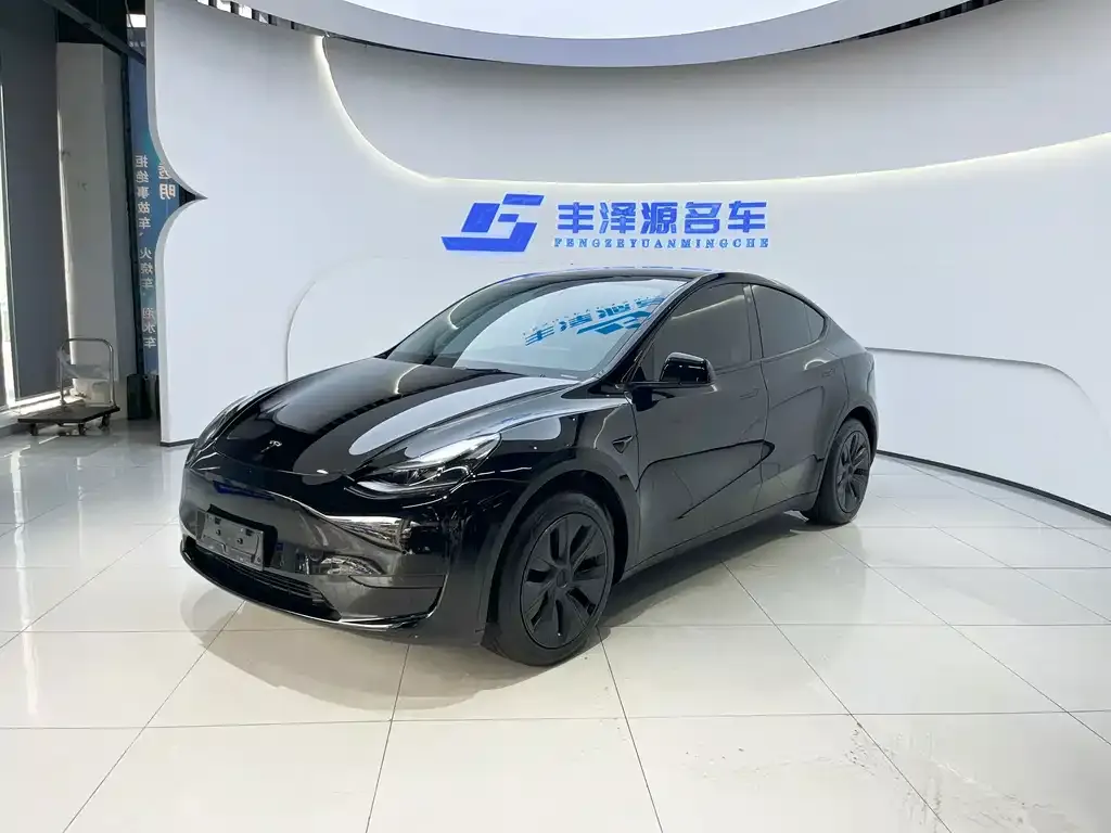 Tesla Model Y — фото 1