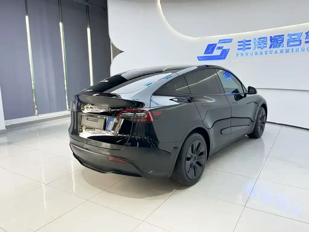 Tesla Model Y — фото 6