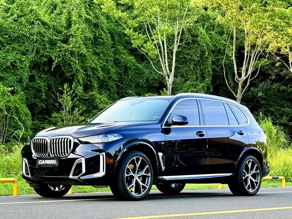 BMW X5 xDrive 30Li M Sport Night 1