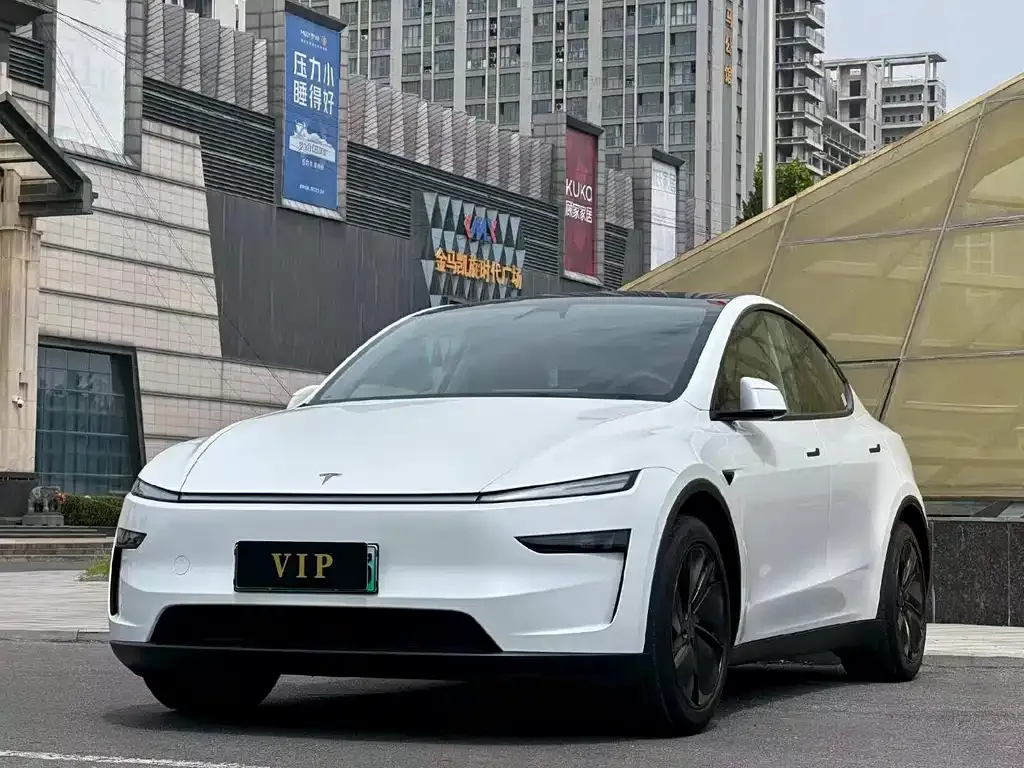 Tesla Model Y — фото 1