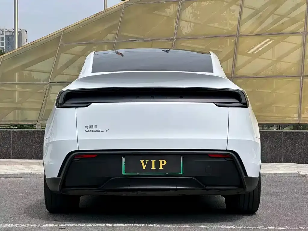 Tesla Model Y — фото 8