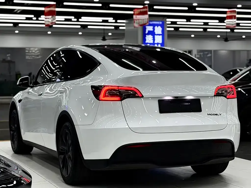 Tesla Model Y — фото 6