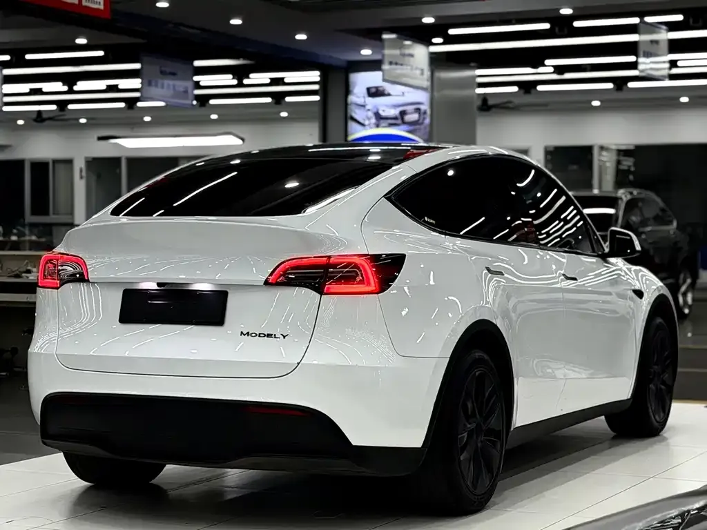 Tesla Model Y — фото 10